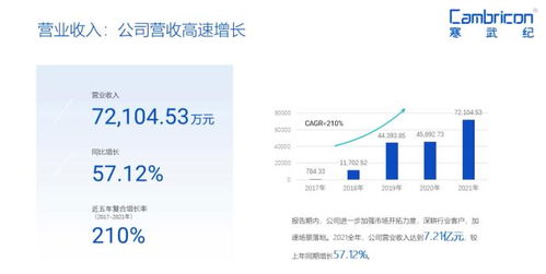 深耕行業(yè)客戶，寒武紀(jì)加速場景落地市場調(diào)研分析